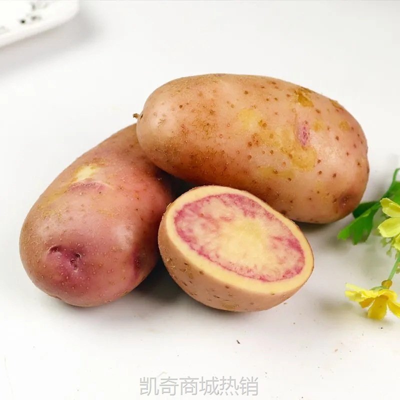 云南七彩土豆产地直发当季红心土豆包邮新鲜蔬菜红心土豆一件代发