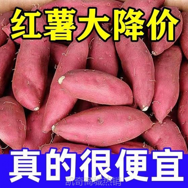 蜜超甜农科院批发番薯糖心产地流油红薯新鲜地瓜直发沙地蜜薯