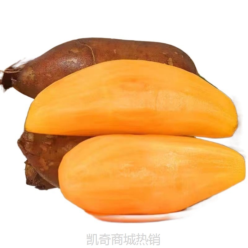 云南天山雪莲果新鲜10斤现挖现发产地直发红泥沙应季水果新鲜直发