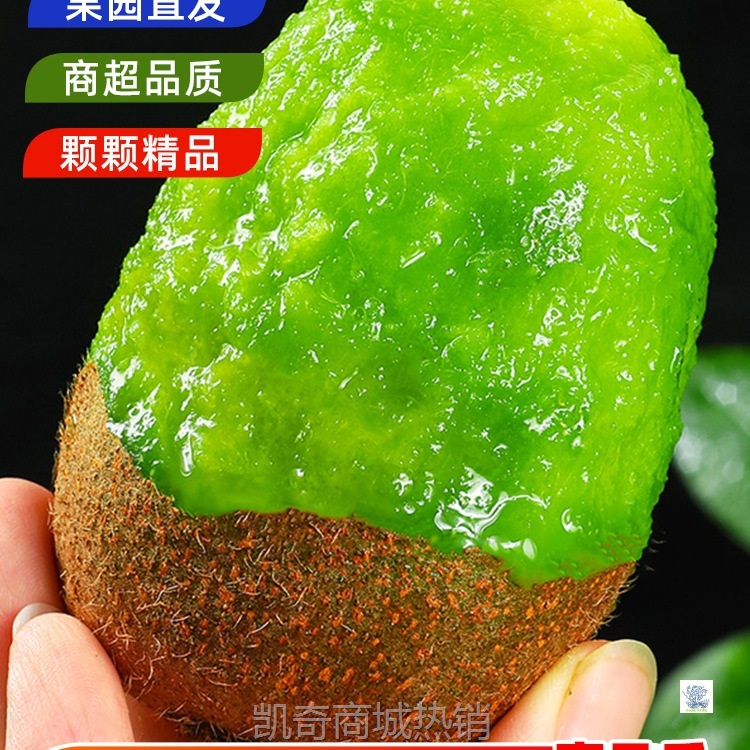 陕西周至翠香猕猴桃新鲜水果当季整箱绿心奇异果孕妇中秋礼盒送礼
