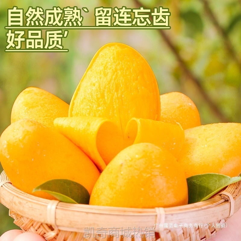 海南小台农芒果10斤新鲜现摘小台芒应当季热带水果特产芒果包邮5