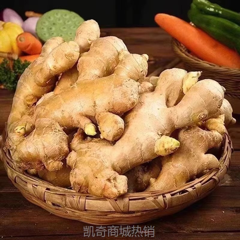 正宗云南小黄姜新鲜现挖1/2/3/5/9斤生沙地老姜调味新鲜蔬菜