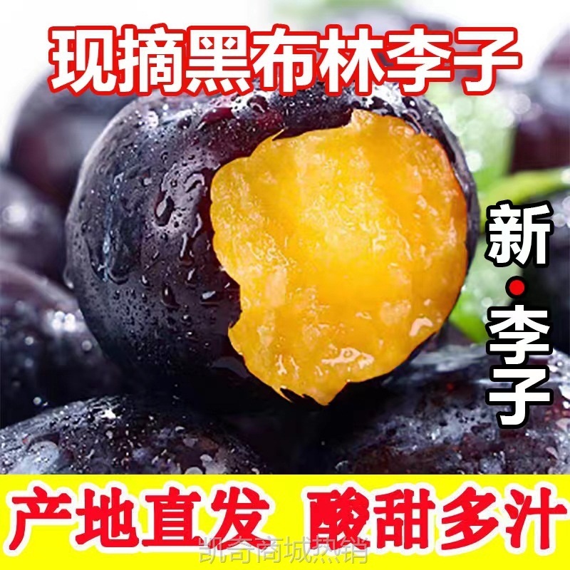 黑布林大李子新鲜黑宝石恐龙蛋脆甜微酸多汁现摘孕妇水果李子