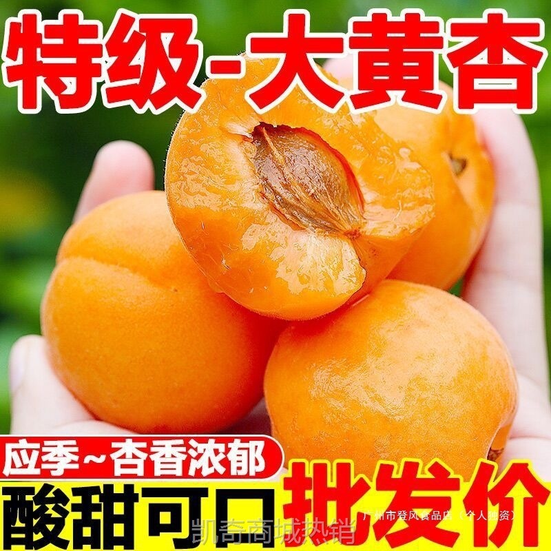 杏子水果新鲜现摘应当季酸甜大黄杏贵妃甜杏整箱批发酸杏非青杏无