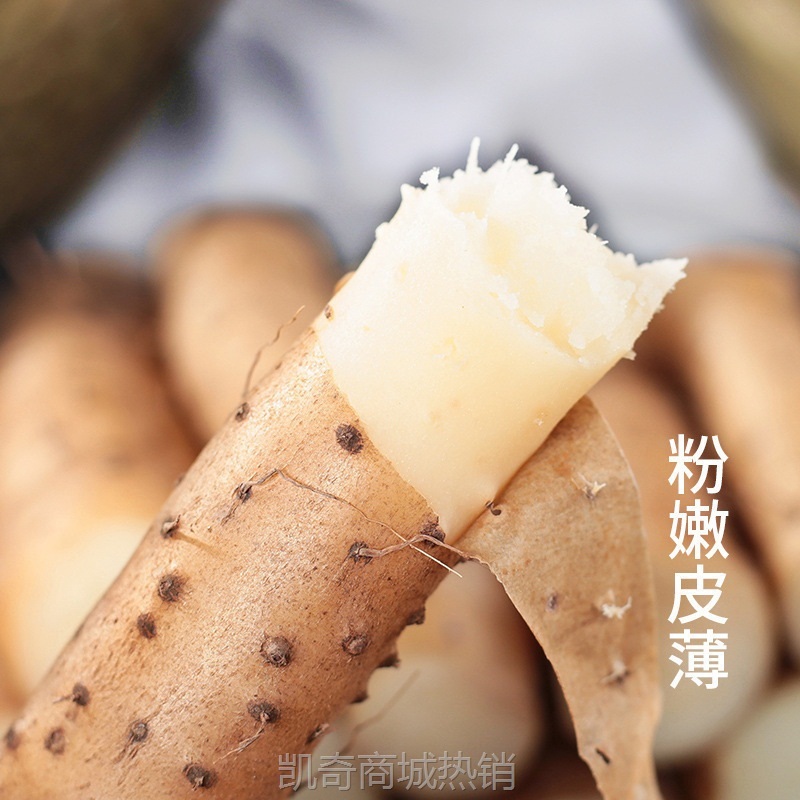 正宗铁棍山药3斤5斤蔬菜新鲜小白嘴山药铁杆淮山10斤非温县垆土粉