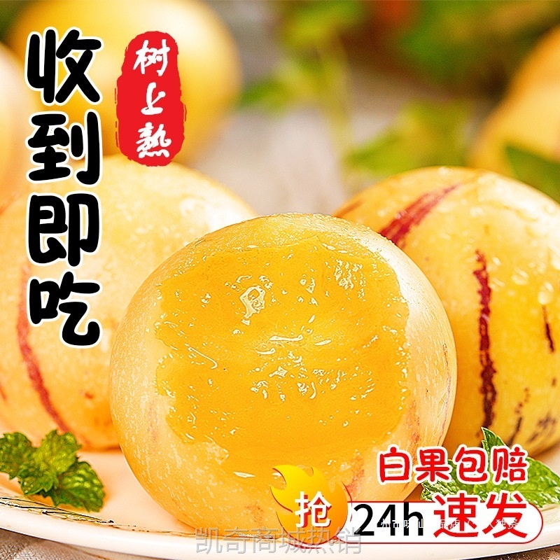 云南人参果水果圆果黄肉大果新鲜石林人叁果树上熟人生果整箱包邮