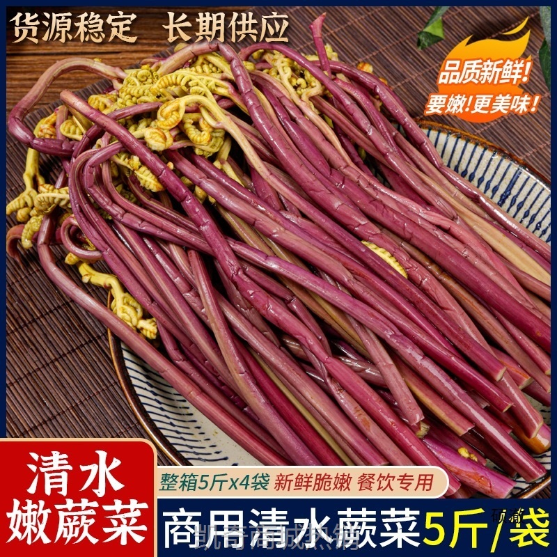 清水蕨菜4斤/20斤火锅冒菜凉拌菜食材贵州新鲜脆嫩龙爪菜整箱商用