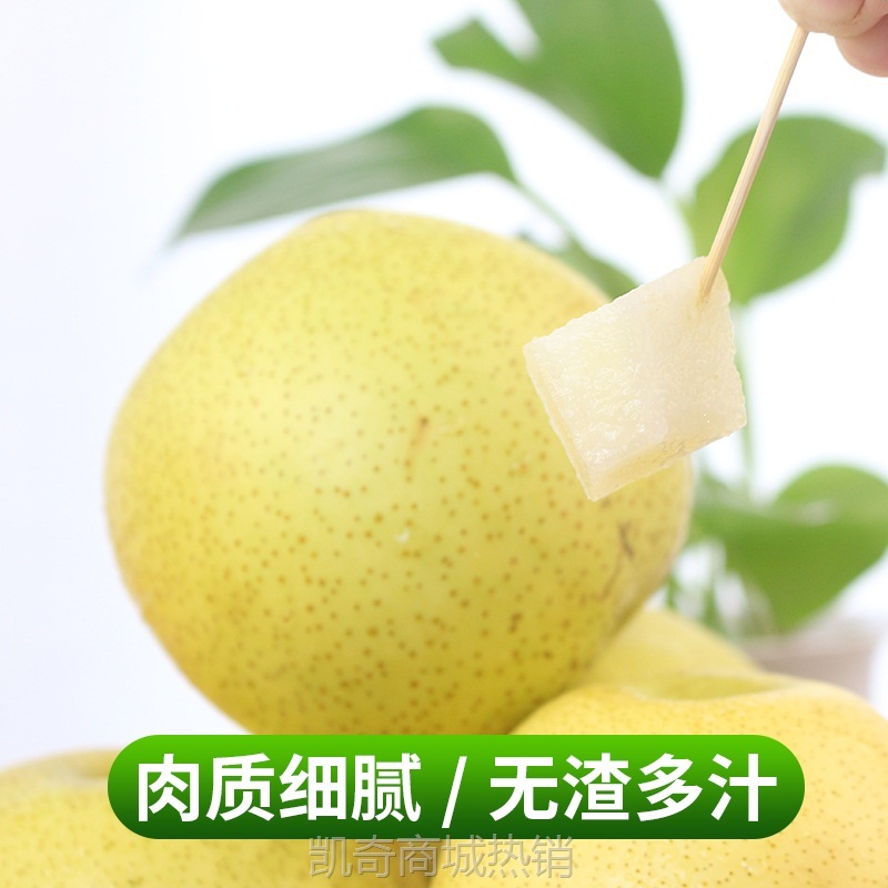 砀山梨梨子新鲜水果10斤整箱包邮当季贡酥香梨白甜梨青梨皇冠雪梨