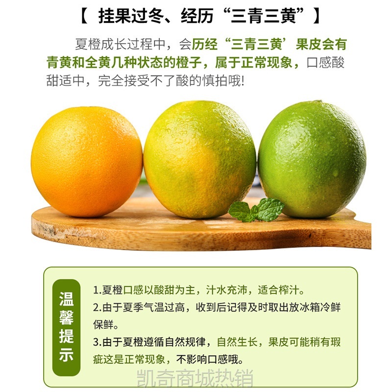 湖北秭归夏橙新鲜当季水果高山橙子现摘现发一件批发代发产地直供