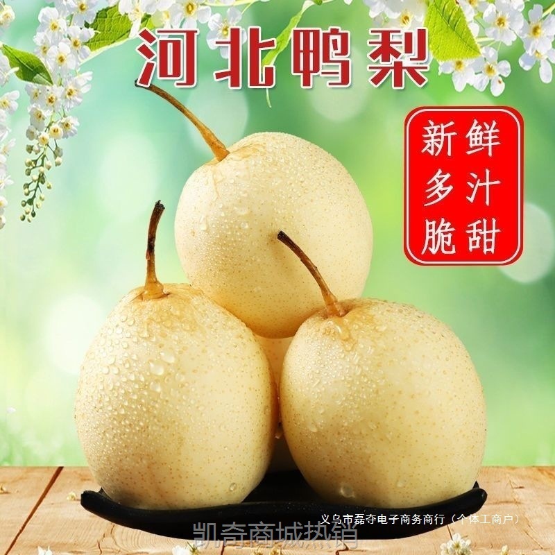 【包邮】河北鸭梨//斤装当季新鲜水果批发梨子皇冠梨雪花梨水晶梨