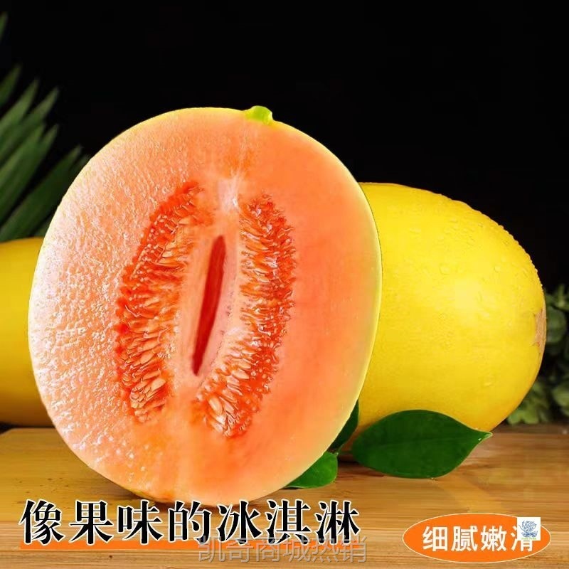 黄河蜜瓜新鲜水果当季水果冰糖网纹哈密瓜香甜瓜雪里红无