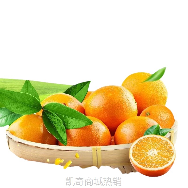 【赣州果园直供】正宗赣南脐橙应季新鲜薄皮橙子超市供应整箱批发