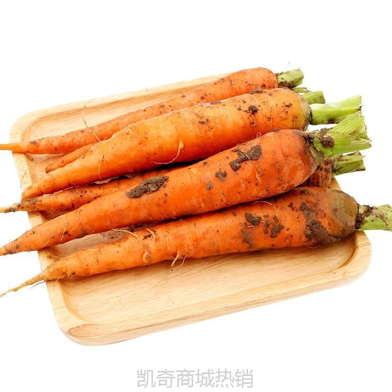 新鲜胡萝卜当季蔬菜脆甜爽口带泥整箱包邮批发农家现挖沙地红萝卜