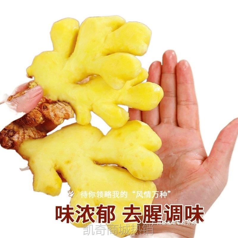 农家自种云南小黄姜新鲜现挖黄姜生姜正宗老姜嫩姜月子整箱芋头
