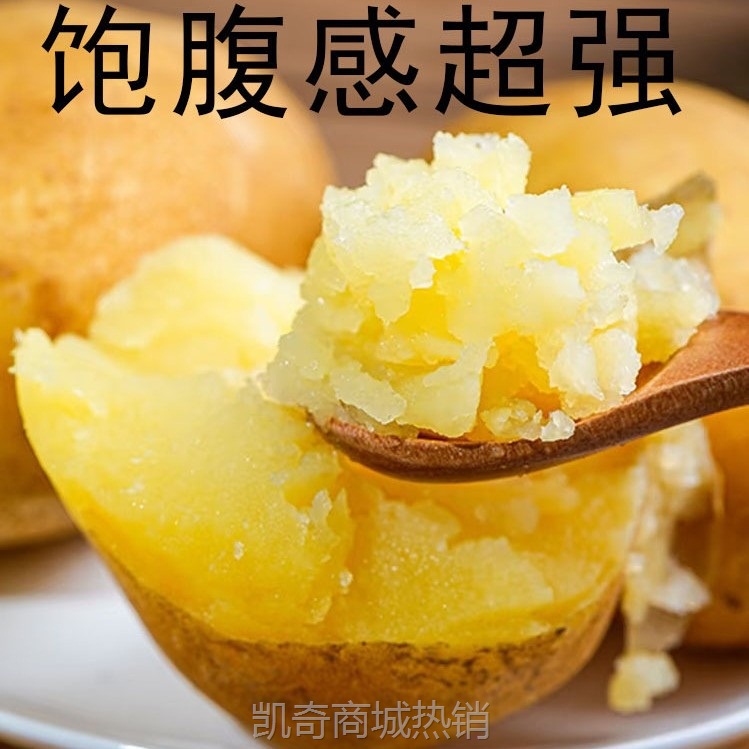 2024年甘肃沙面土豆新鲜黄皮黄心洋芋定西5斤9斤包邮马铃薯辅食