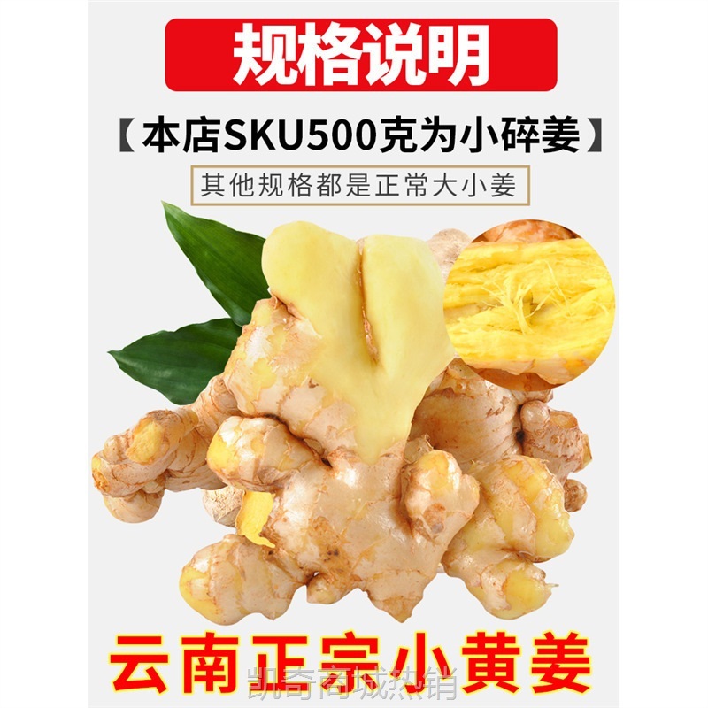 云南小黄姜生姜新鲜罗平小黄姜月子姜老姜山地土姜沙姜蔬菜