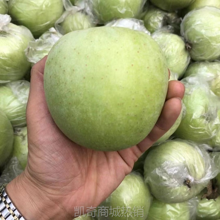 王林苹果现摘当季脆甜孕妇新鲜水果青森丑苹果时令青苹果整箱10斤