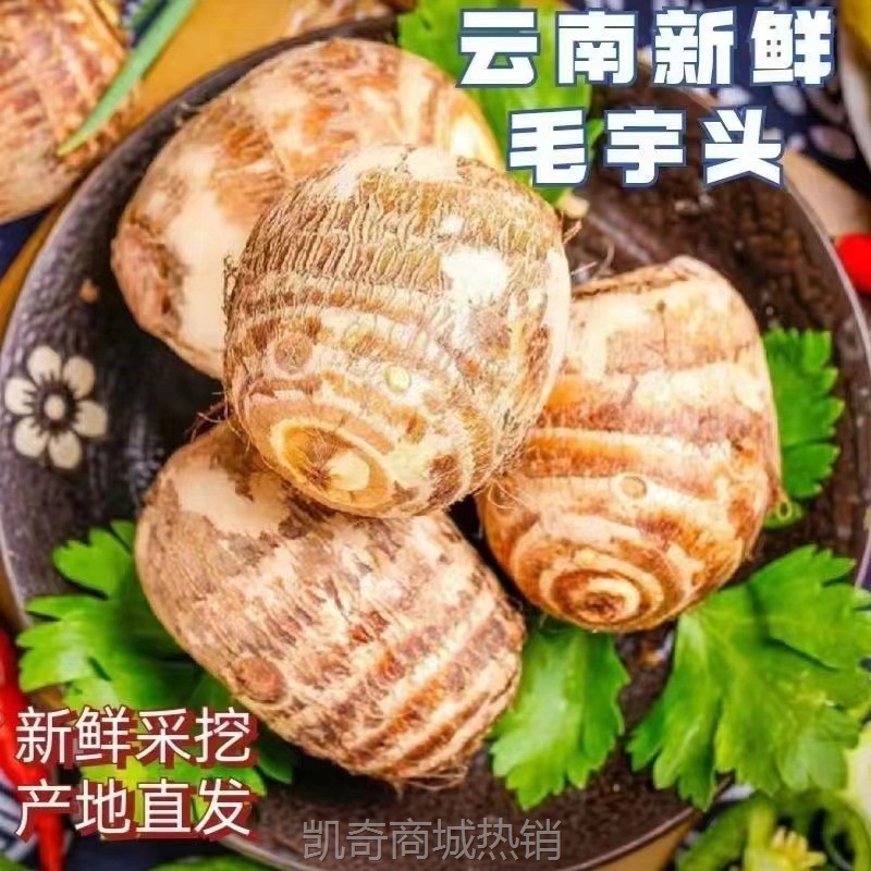 毛芋头新鲜山东芋头牛奶小芋头软糯红芽芋甜毛芋本地芋艿辅食批发