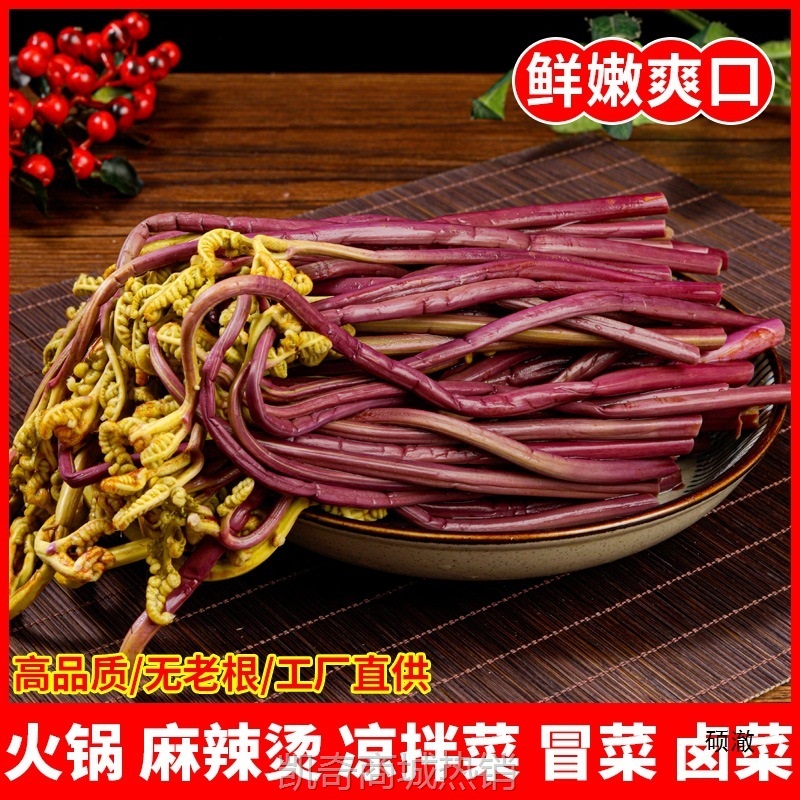 清水蕨菜4斤/20斤火锅冒菜凉拌菜食材贵州新鲜脆嫩龙爪菜整箱商用
