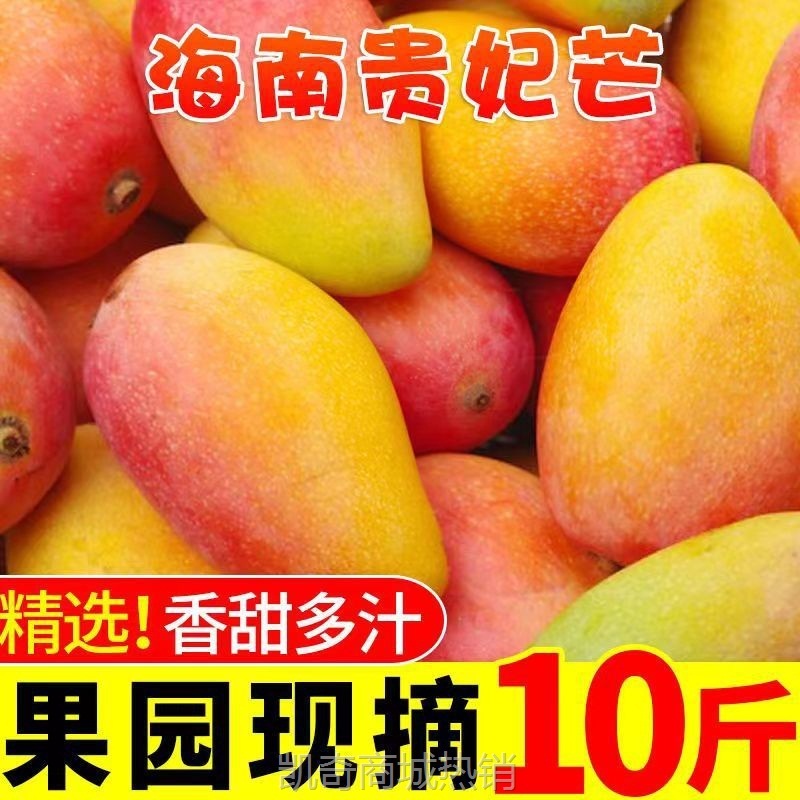 海南贵妃芒果斤装整箱新鲜应季水果2斤红金龙海南芒果代发厂批发