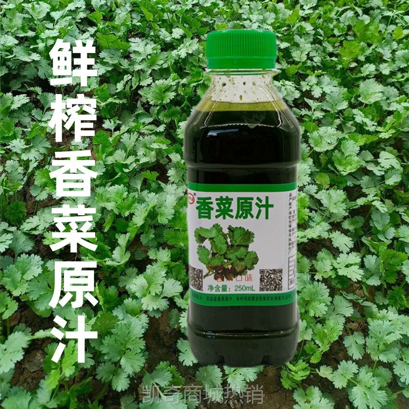 鲜榨香菜原汁250ml瓶装芫荽汁四季香菜调馅子做肉丸烧菜煲汤新鲜