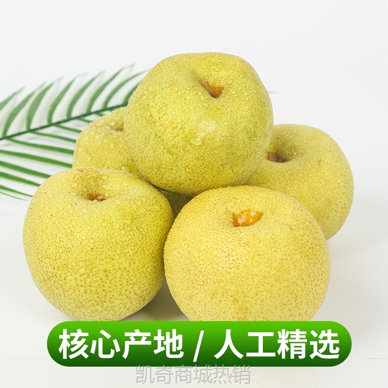 砀山梨梨子新鲜水果10斤整箱包邮当季贡酥香梨白甜梨青梨皇冠雪梨