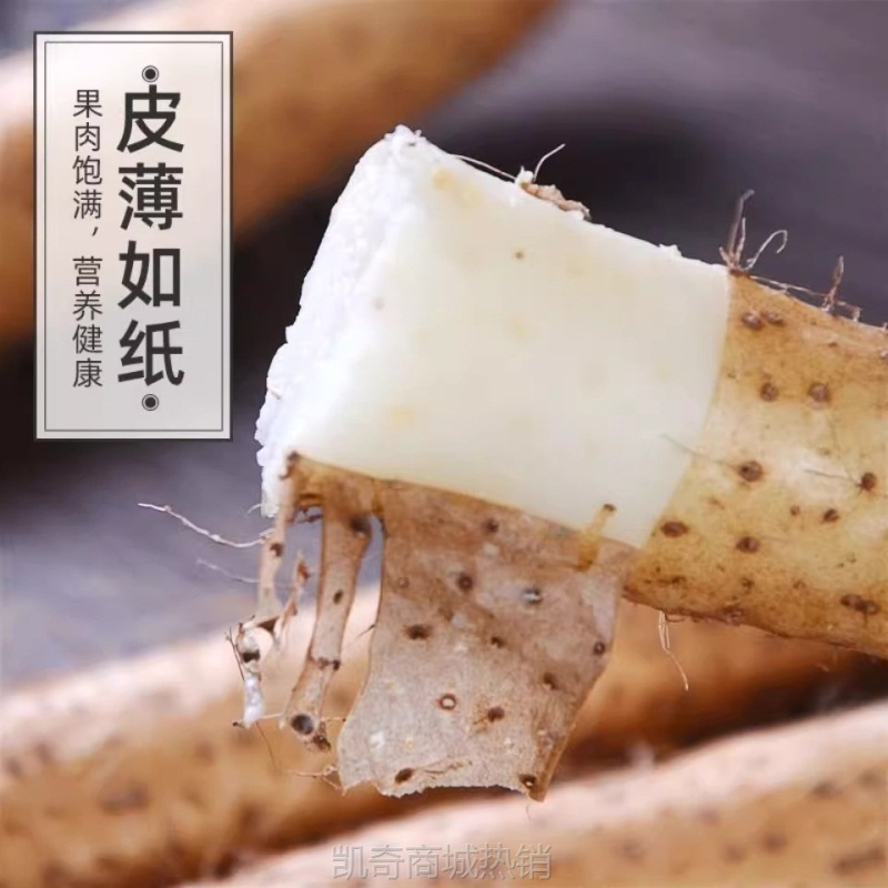 正宗铁棍山药5斤新鲜小白嘴山药铁杆淮山10斤非温县垆土一件代发