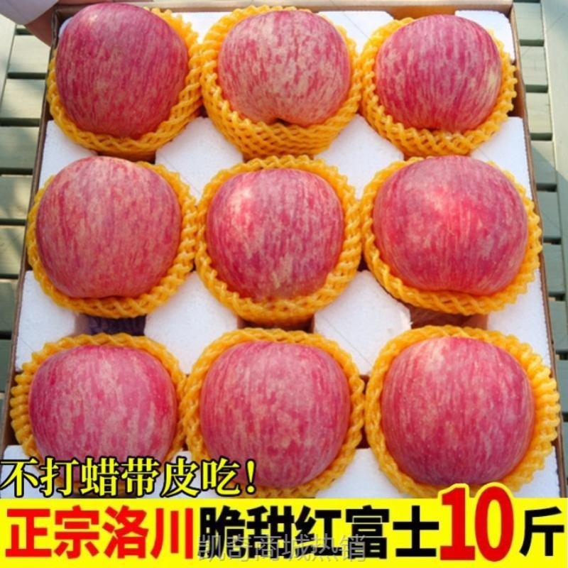 陕西洛川高山苹果10斤水果新鲜当季整箱红富士冰糖心脆甜正宗包邮