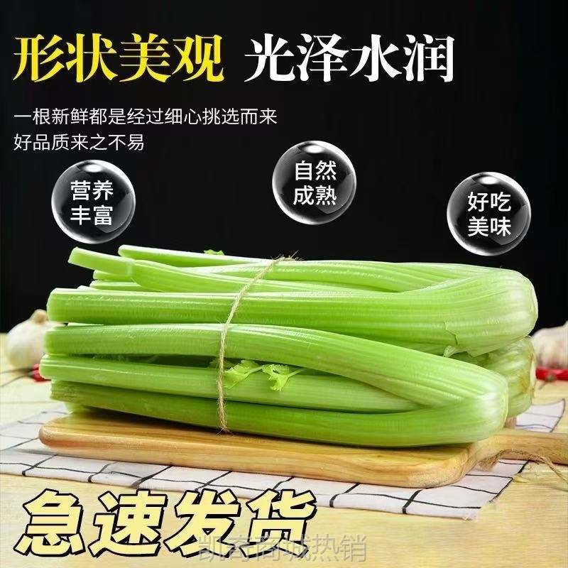 顺丰包邮    新鲜水果西芹现挖现发大颗西芹可榨汁生吃凉拌