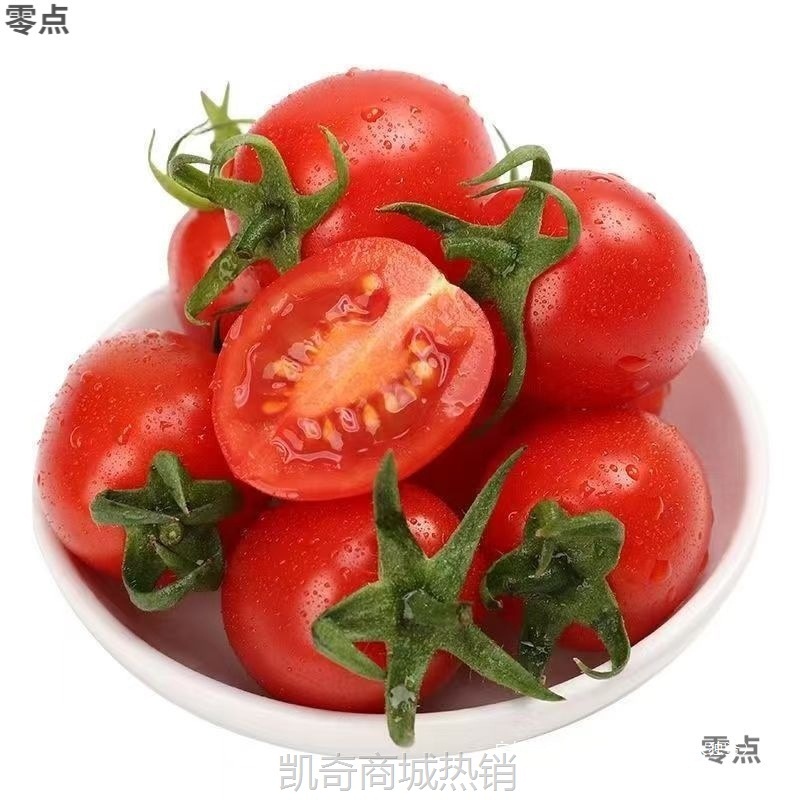 圣女果沙瓤现摘果番茄批发西红柿露天蔬菜新鲜水果整箱樱桃非千禧