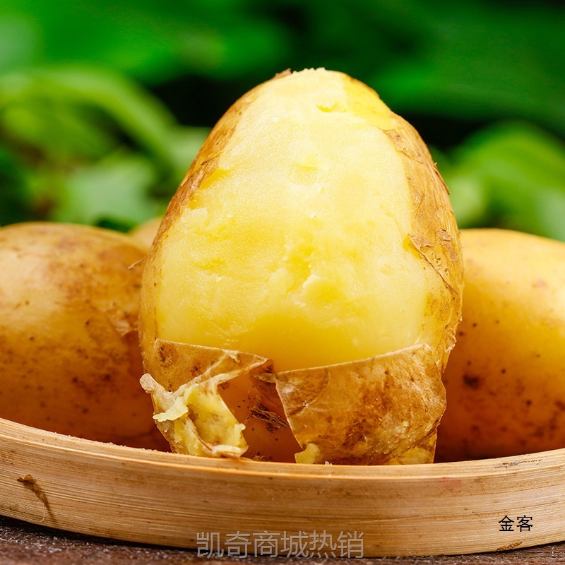恩施小土豆新鲜马铃薯5斤富硒黄心洋芋现挖蔬菜10马铃薯包邮