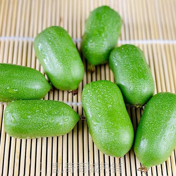 丹东软枣猕猴桃奇异果莓圆枣子小猕猴桃新鲜水果当季整箱一件代发