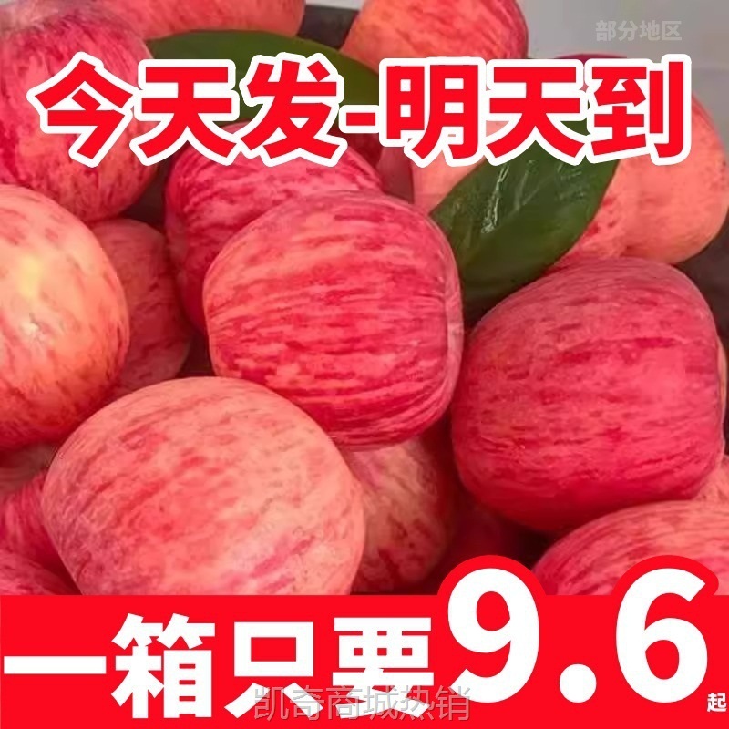 红富士冰糖斤10洛川苹果新鲜水果当季脆甜心整箱陕西包邮