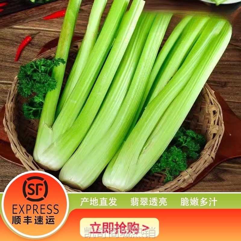 顺丰包邮    新鲜水果西芹现挖现发大颗西芹可榨汁生吃凉拌