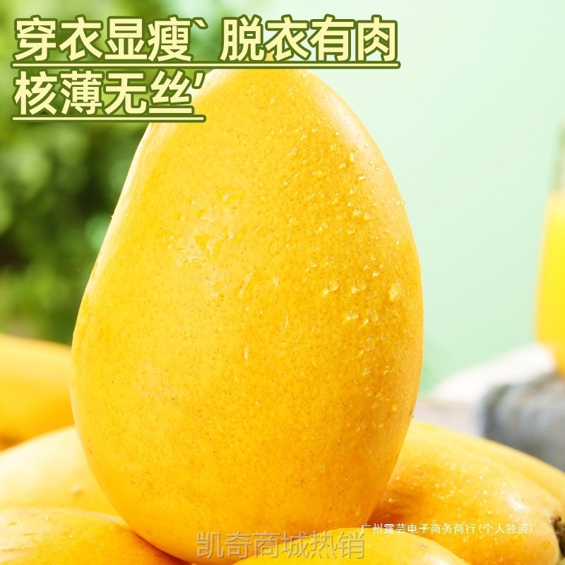海南小台农芒果10斤新鲜现摘小台芒应当季热带水果特产芒果包邮5