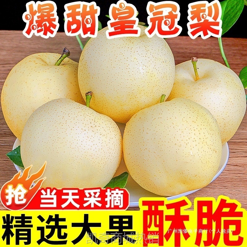 新鲜梨子河北皇冠梨10斤整箱包邮当季水果现摘砀山皇冠梨5斤雪梨