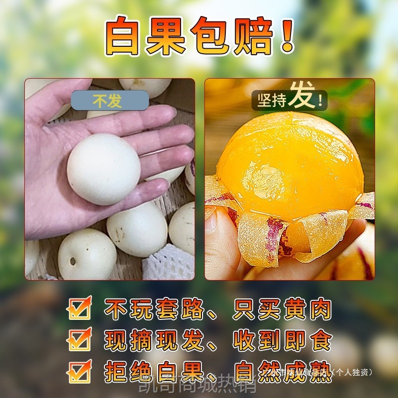 云南人参果水果圆果黄肉大果新鲜石林人叁果树上熟人生果整箱包邮