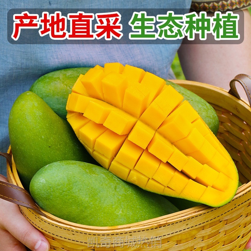 新鲜越南大青芒10斤芒果水果金煌芒青皮大果应季热带云南当季特产