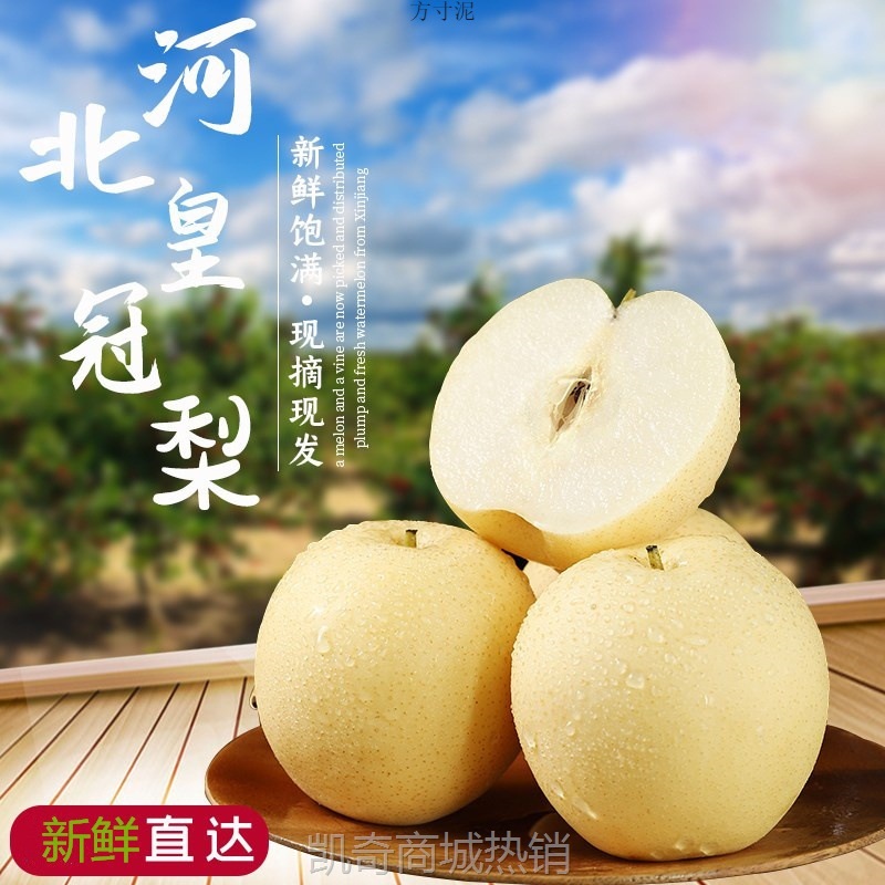 非斤5砀山梨10皇冠梨代发3整箱斤酥梨新鲜水果当季雪梨梨子斤河北