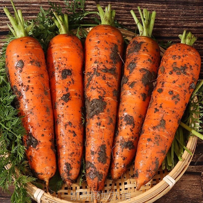 胡萝卜5斤整箱新鲜蔬菜脆甜爽口带泥包邮3批发10农家现挖沙地萝卜