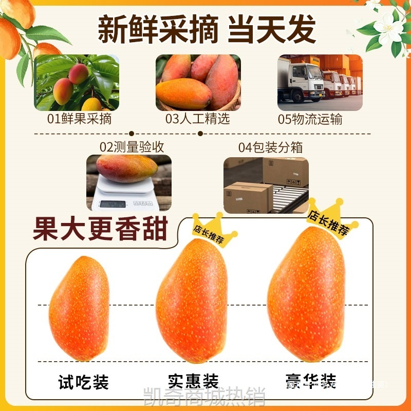 广西百色贵妃芒新鲜应当季热带水果9斤大芒果红金龙甜心包邮整箱