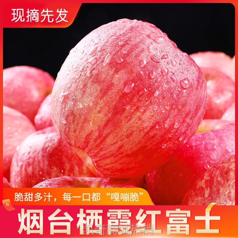 苹果山东烟台红富士当季新鲜现摘红富士水果510斤整箱批一件批发