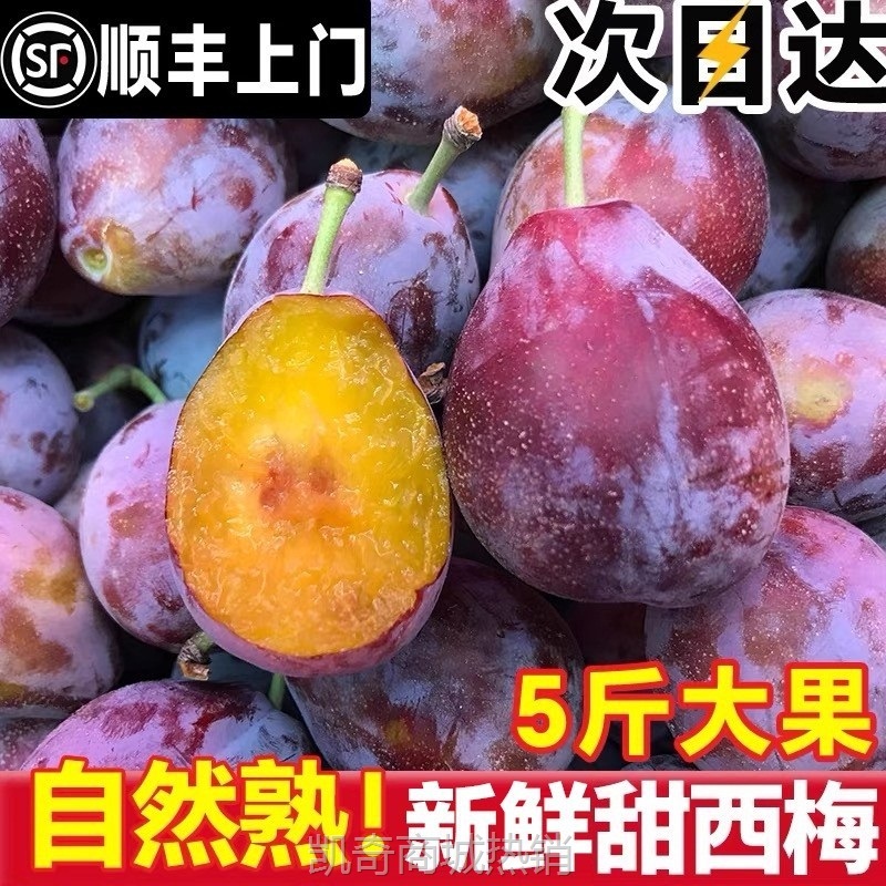 西梅鲜果5斤新鲜水果当季整箱李子法兰西应季蓝蜜大西梅时令礼盒