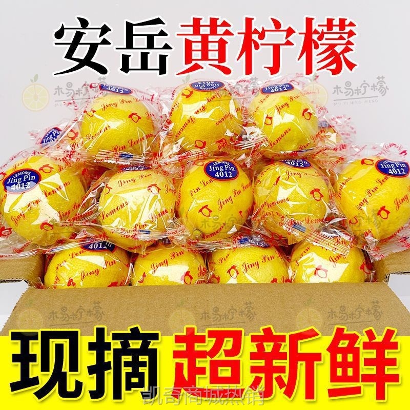 泡水柠檬斤现摘现发多汁黄柠檬新鲜安岳水果皮薄包邮10奶茶店四川