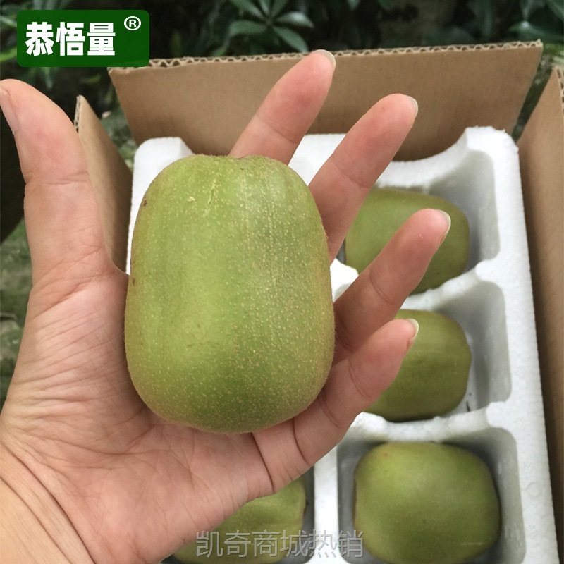 猕猴桃金果四川蒲江红心弥迷新鲜应季孕妇水果奇异果整箱批发礼盒
