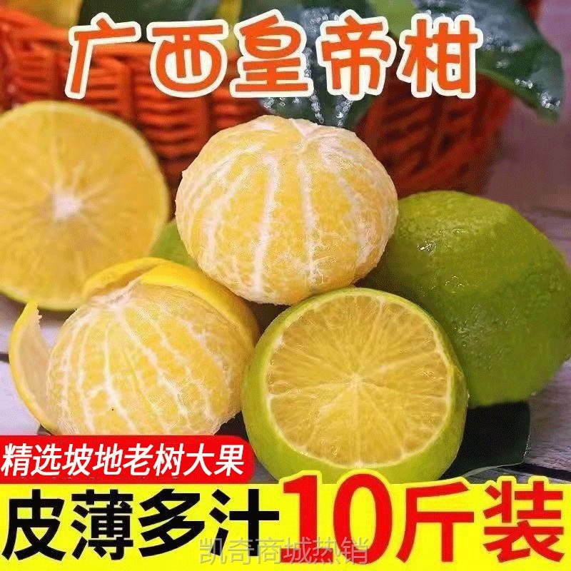 广柑斤新鲜水果贡柑/斤柑橘薄皮批发橘子桔子