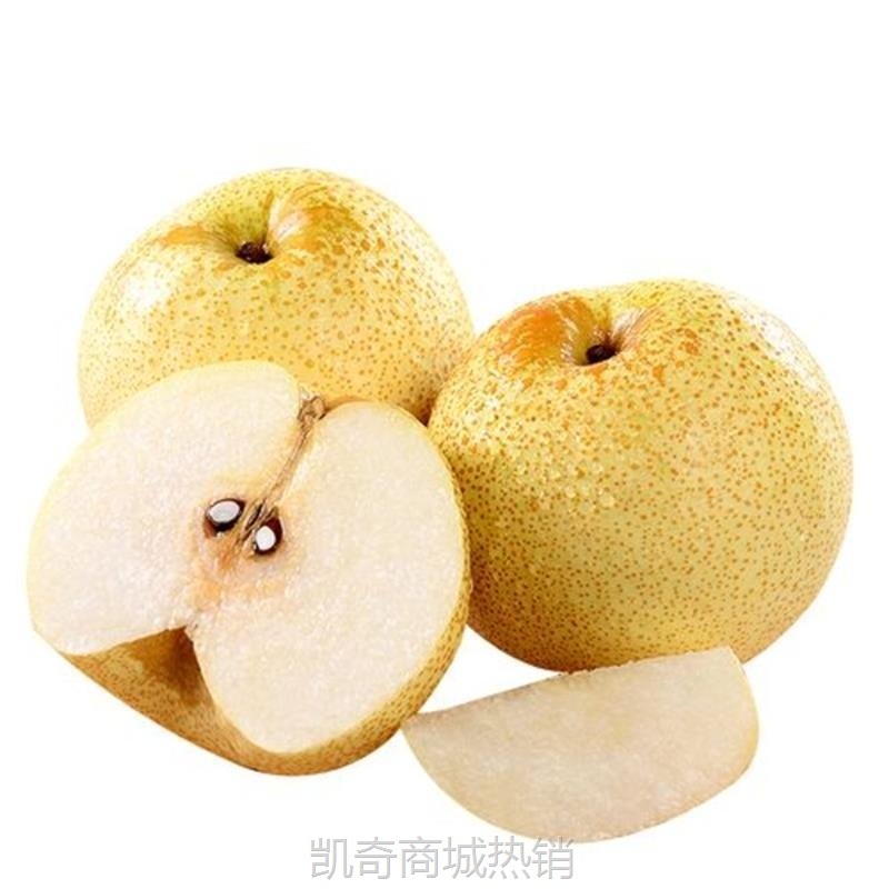 砀山酥梨新鲜梨子当季现摘安徽汤山梨包邮梨子一件代发