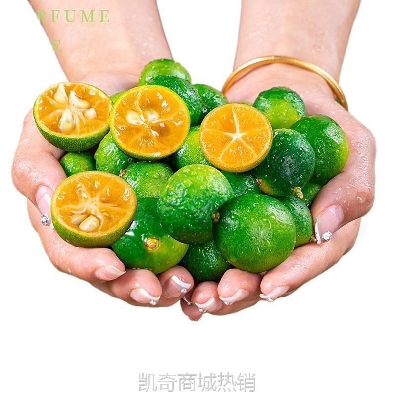 新鲜海南青金桔小青柠青柑皮薄应当季水果奶茶店柠檬新鲜5斤金橘1