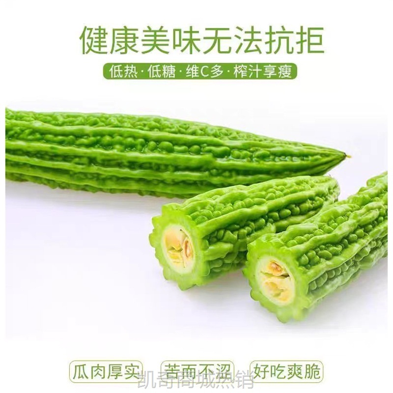 新鲜苦瓜5斤农家自种凉瓜苦瓜脆嫩营养蔬菜山东产地现摘现发当季