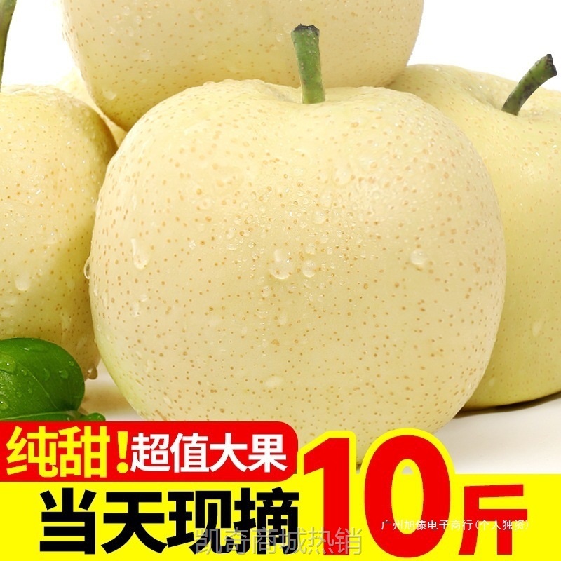 新鲜梨子河北皇冠梨10斤整箱包邮当季水果现摘砀山皇冠梨5斤雪梨